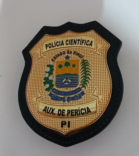 Distintivo / Bolachão Personalizável Brasão Piauí - PI - Bolachoes, vista frontal